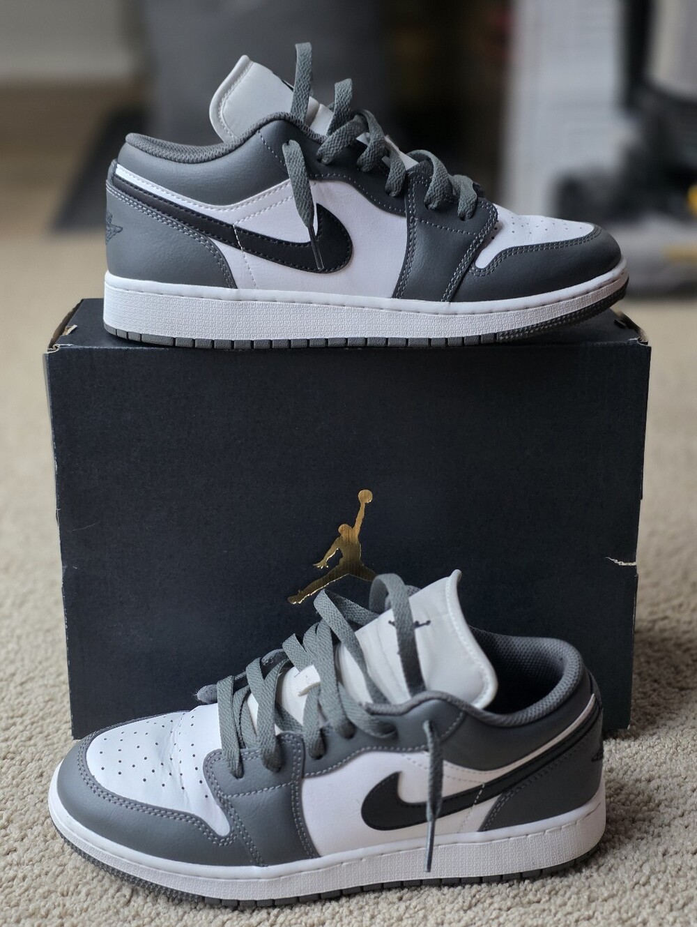 Air Jordan 1 Low GS